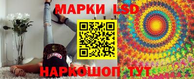 сатива Новодвинск
