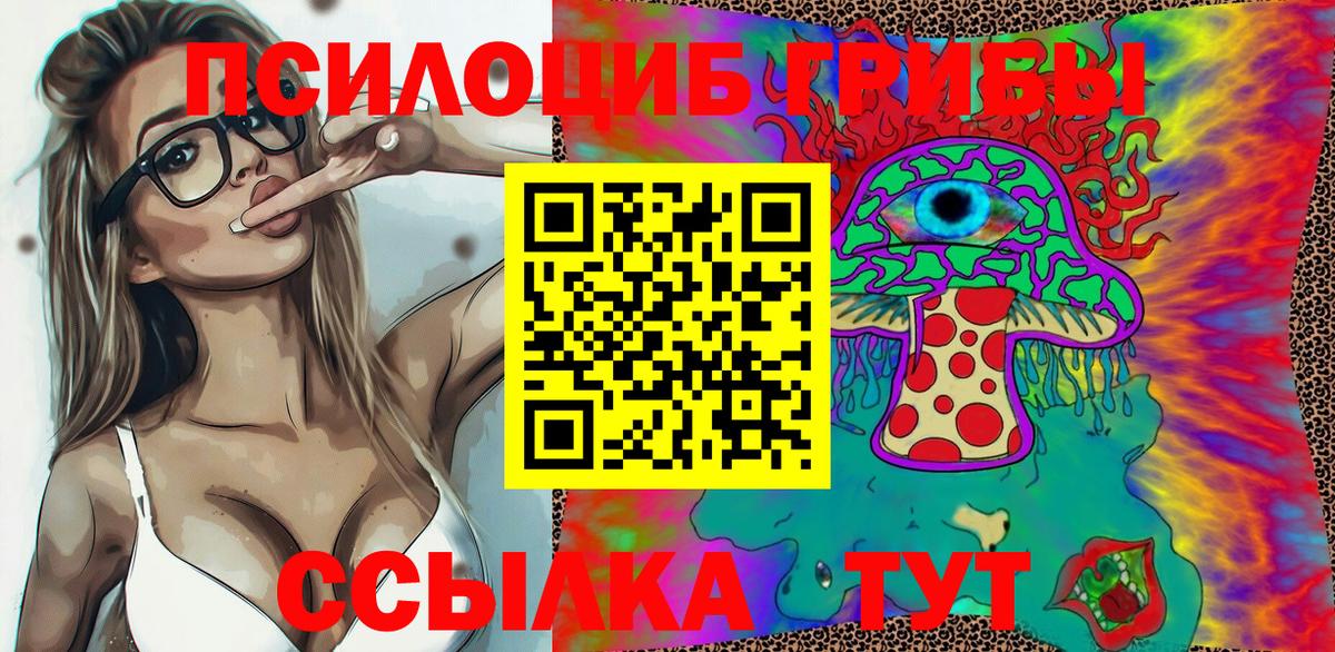 Галлюциногенные грибы Psilocybine cubensis Урус-Мартан