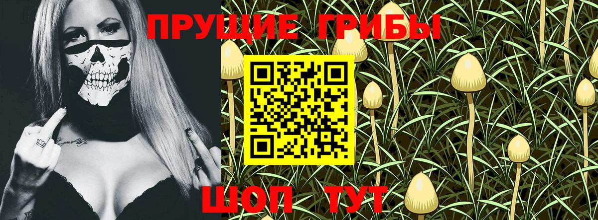Урус-Мартан  Псилоцибиновые грибы GOLDEN TEACHER  закладки  Вход с VPN 